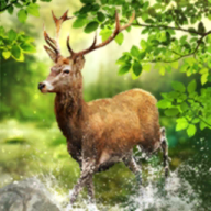 原神殊形之龙参寻战记第4关攻略